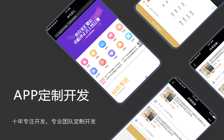 APP定制解決方案